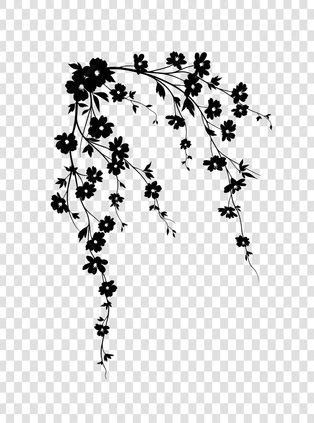 Elemento Decorativo Flores Vinha Preta PNG Fundo Transparente