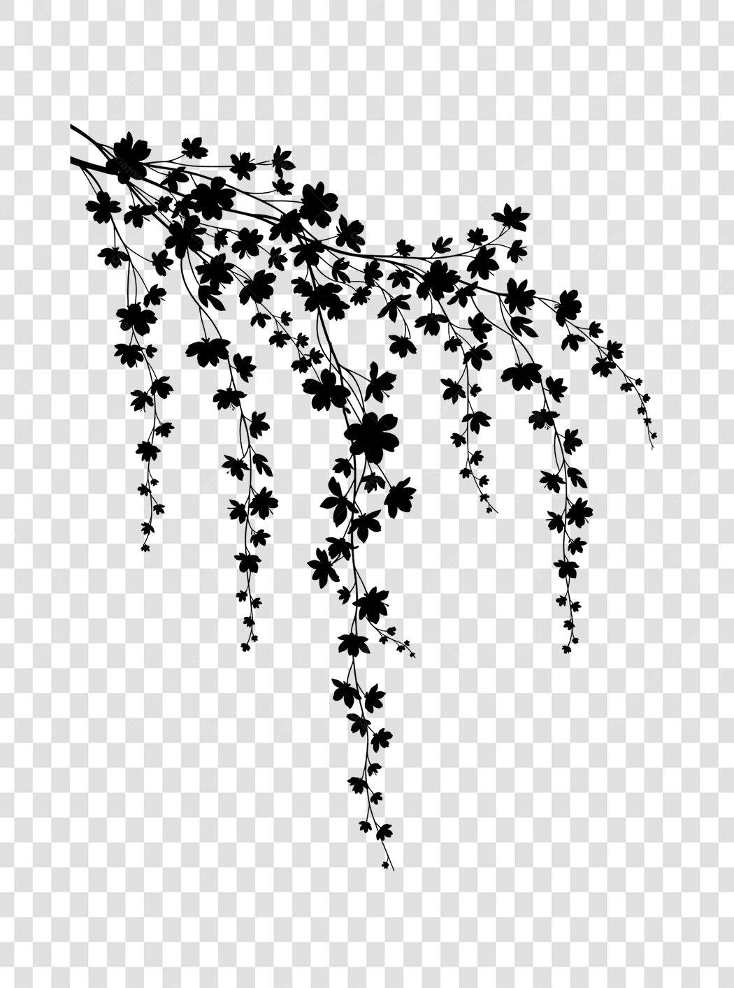 Elemento Decorativo Galho Folhas Silhueta Preta PNG Fundo Transparente