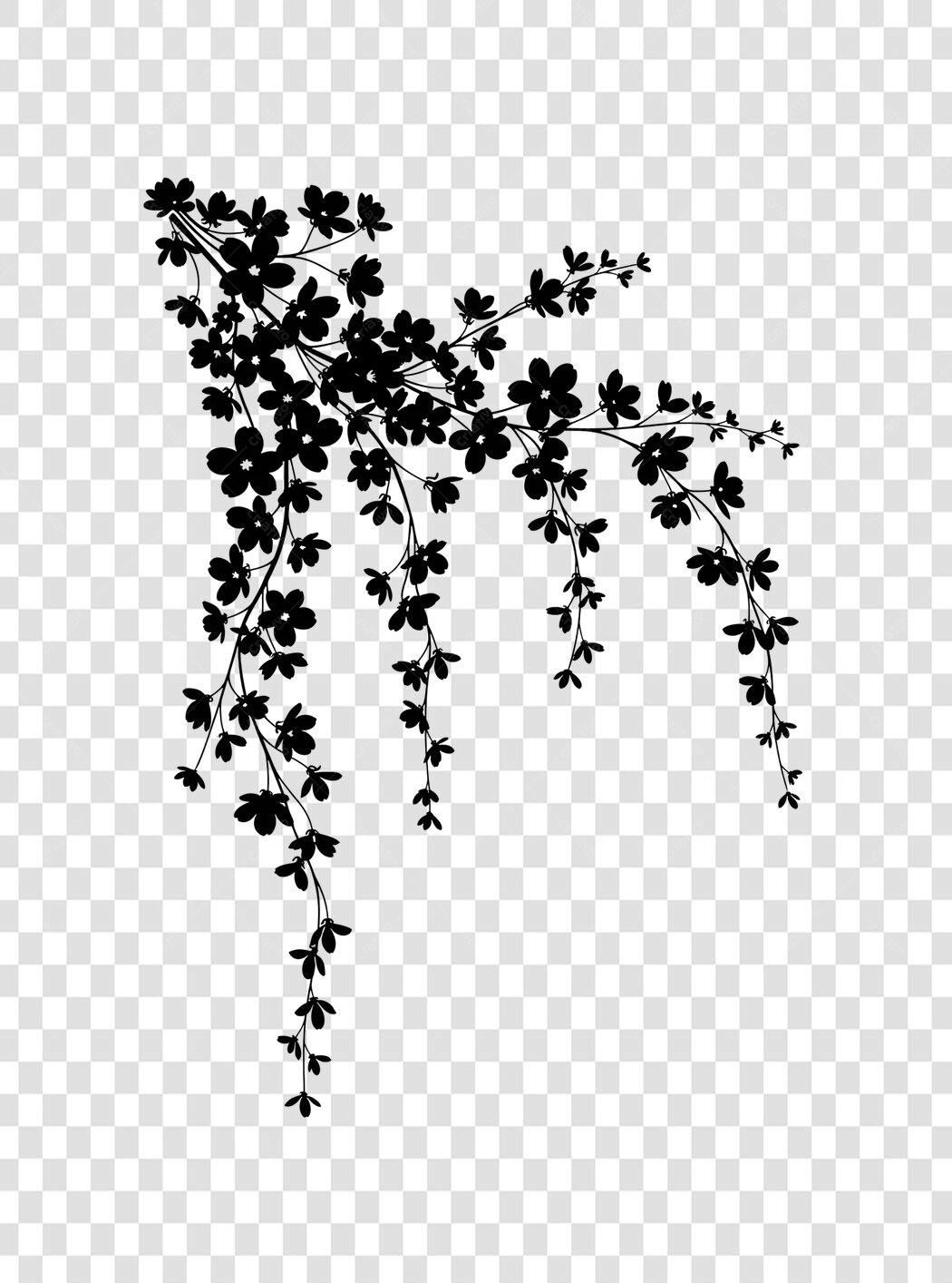 Elemento Decorativo Galho Flores Preto PNG Fundo Transparente