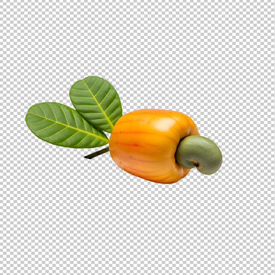 Caju Fruta Tropical PNG Fundo Transparente