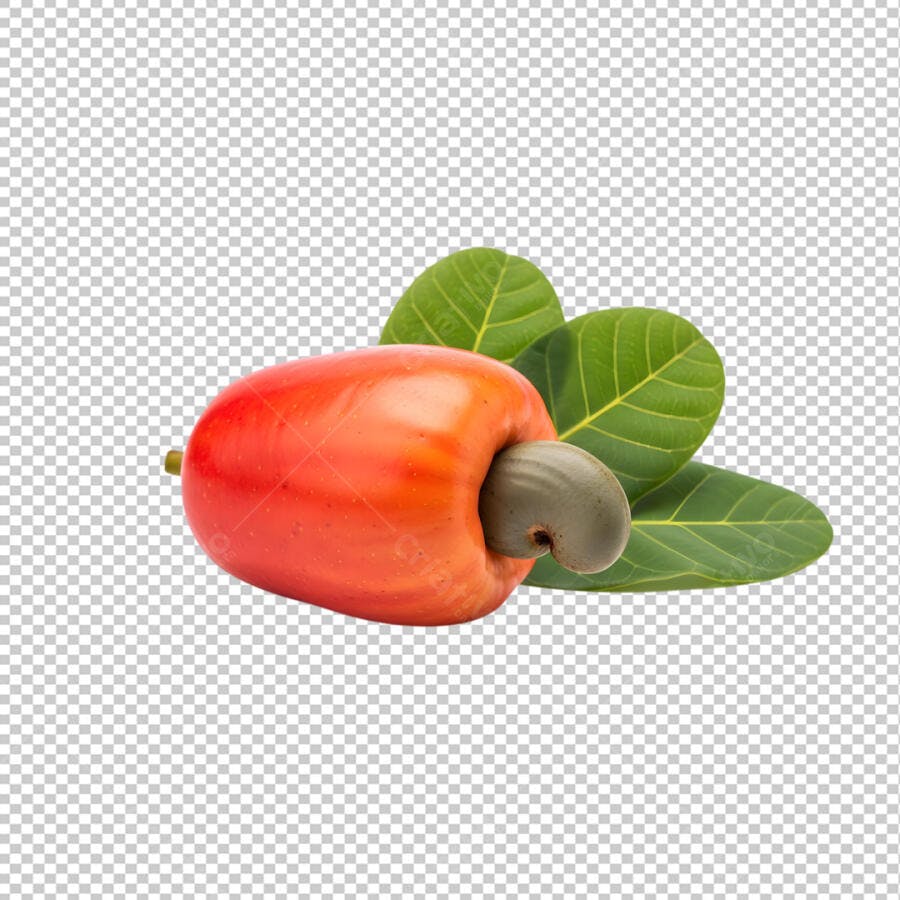 Caju Fruta Tropical PNG Fundo Transparente PSD