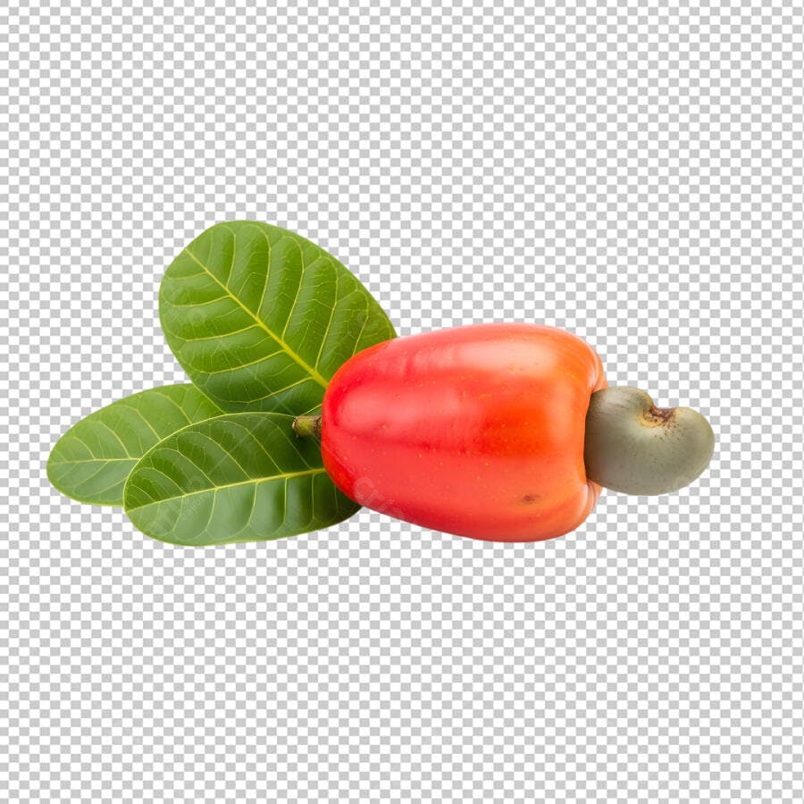 Caju Fruta Tropical Vermelho e Verde PSD Editável