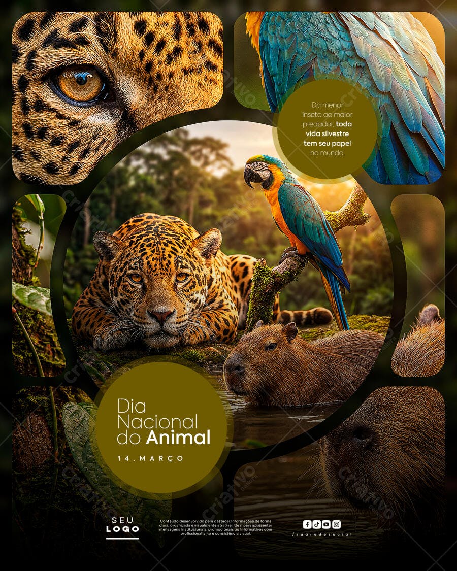 Post Dia Nacional do Animal 14 de Março PSD Editável