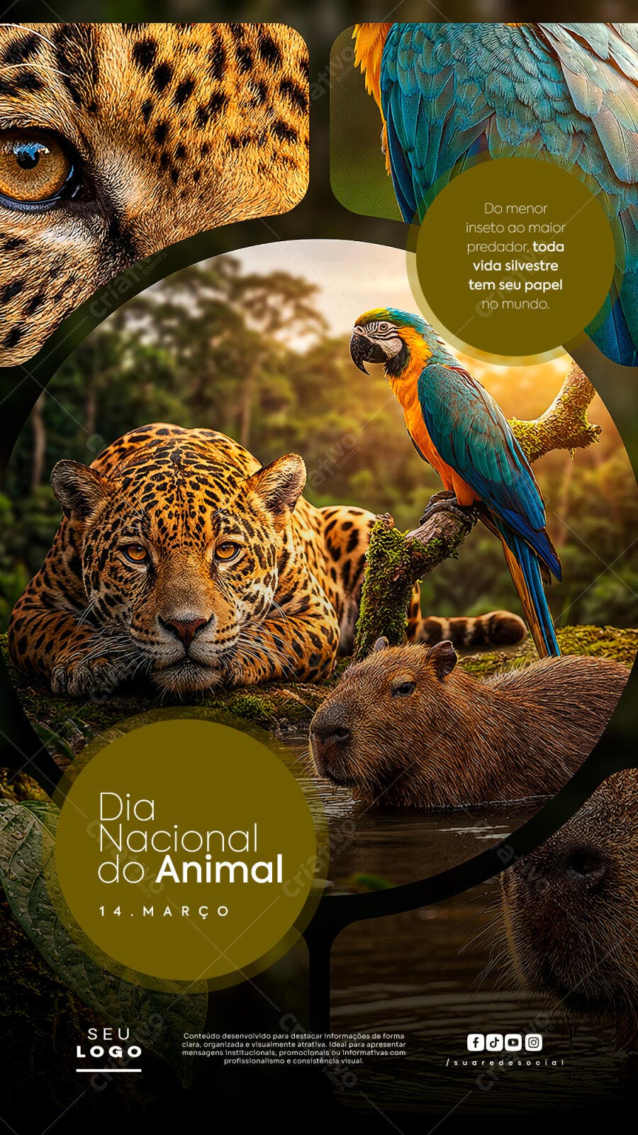 Story Instagram Dia Nacional do Animal 14 de Março PSD Editável
