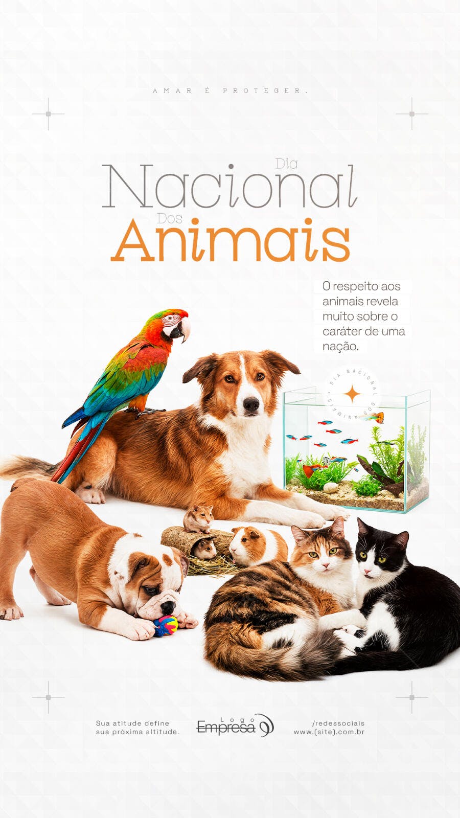 Post Dia Nacional dos Animais Pet Shop PSD Editável