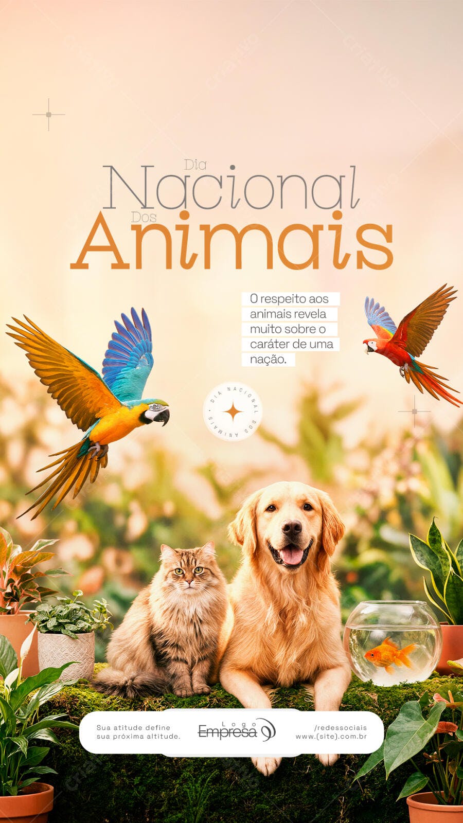 Story Dia Nacional dos Animais Pet Shop PSD Editável