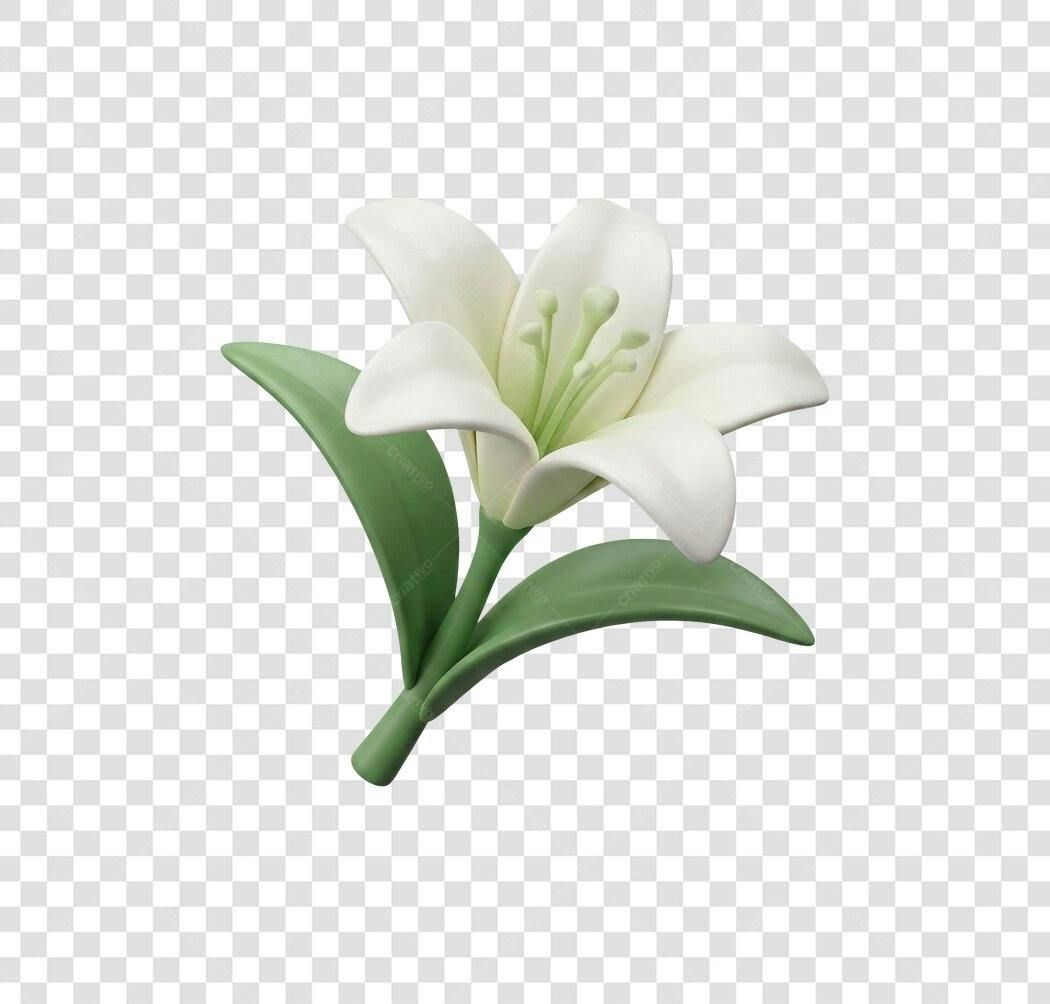 Elemento 3D Lírio Branco Flor Delicada PNG Fundo Transparente
