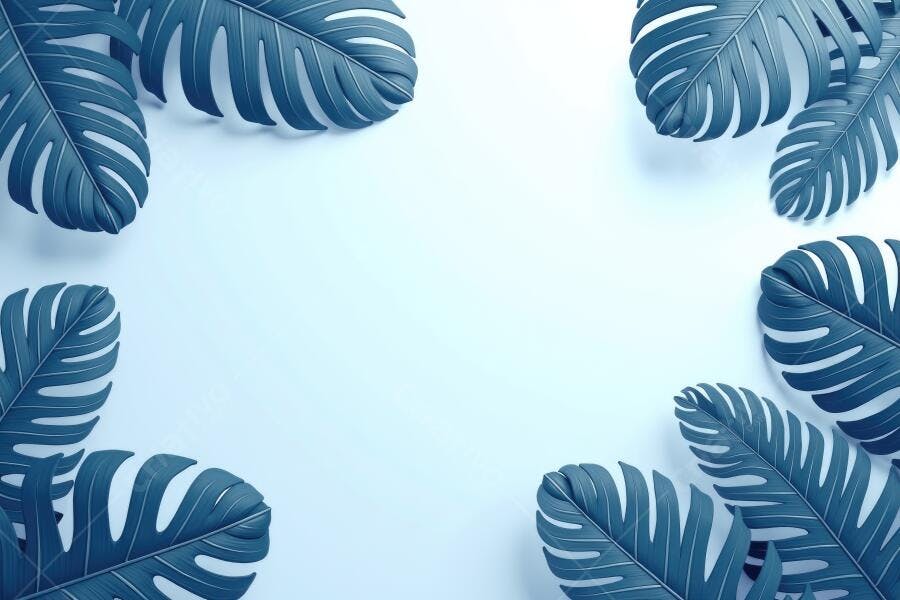 Foto Folhas Monstera Azuis Fundo Branco Espaço para Texto