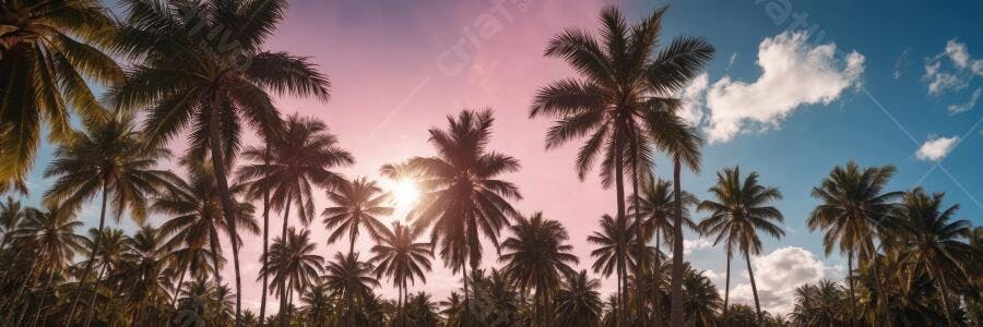 Foto Coqueiros Pôr do Sol Céu Rosa Azul Tropical