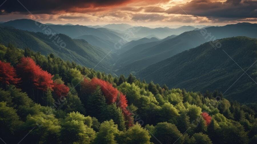 Foto Paisagem Montanhas Floresta Outono Cores Vibrantes Pôr do Sol