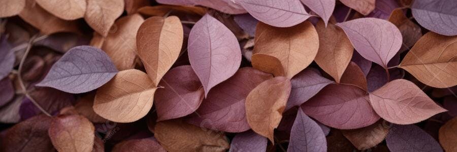 Foto Folhas Secas Outono Tons Roxos e Marrons Textura
