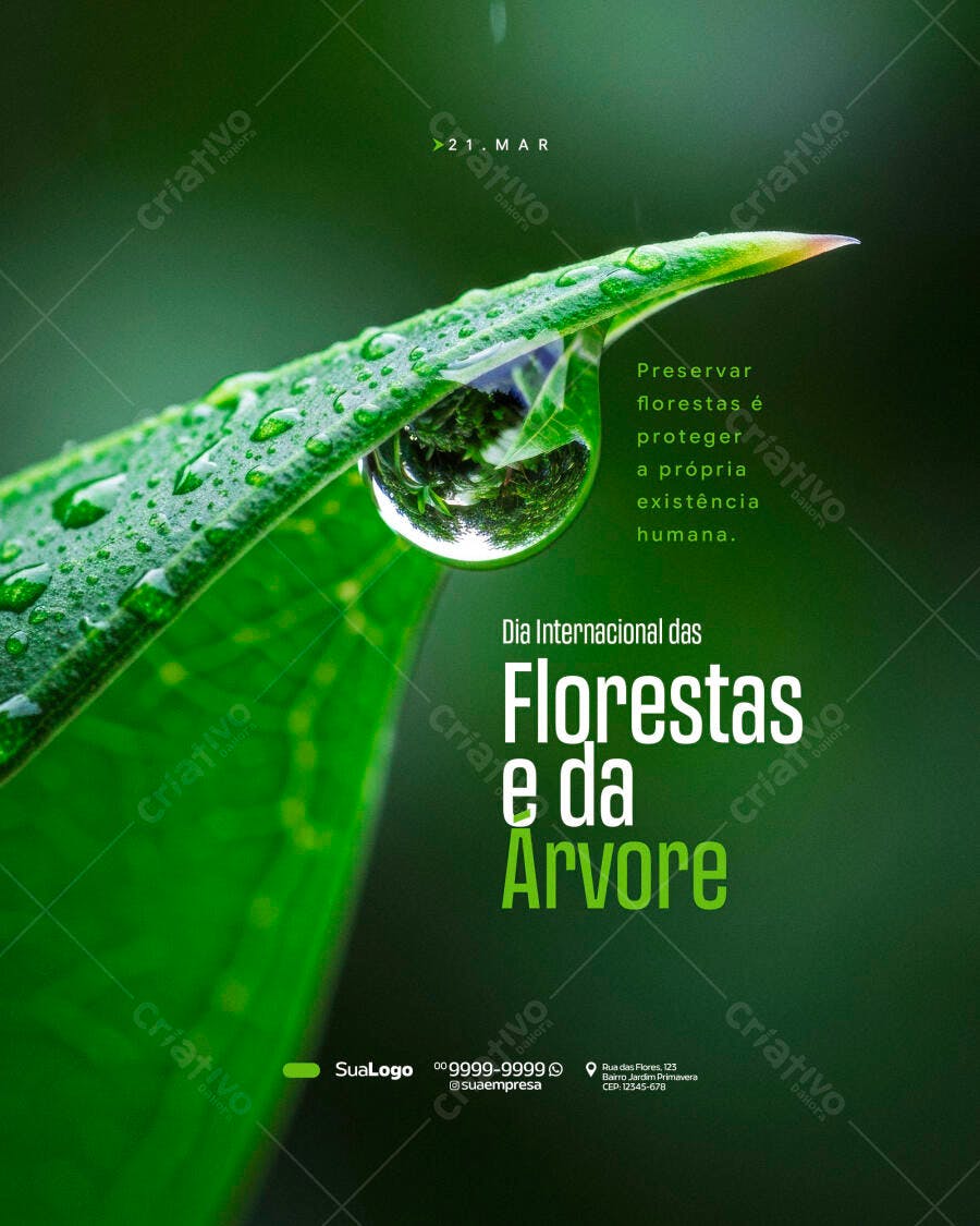 Post Instagram Dia Internacional das Florestas e da Árvore PSD Editável