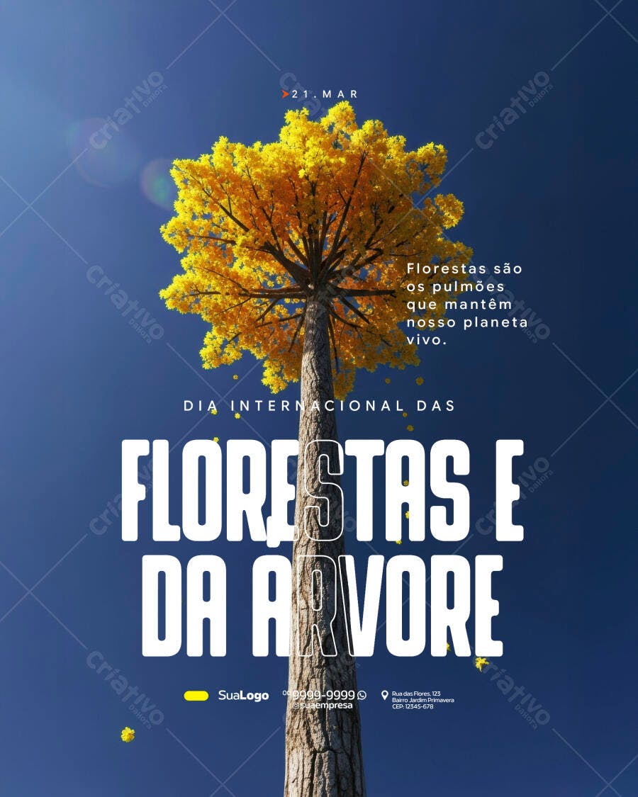 Post Instagram Dia Internacional das Florestas Março PSD Editável