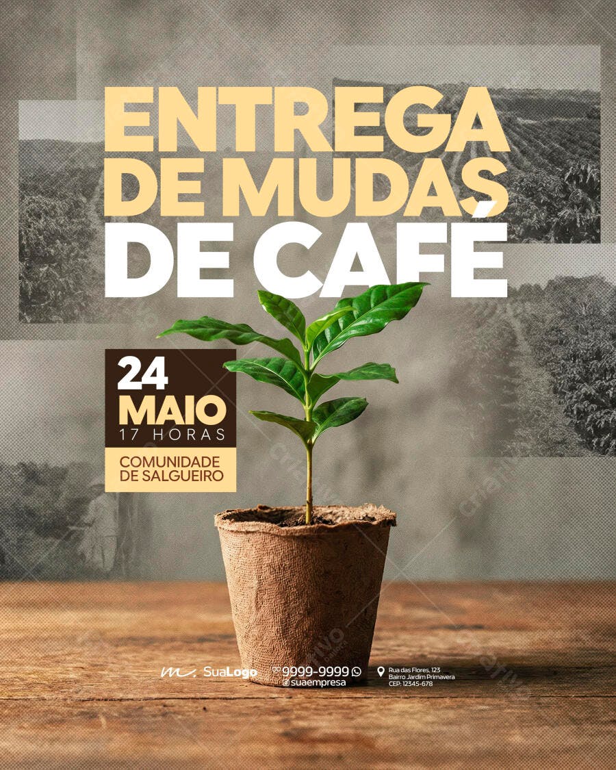 Post Instagram Entrega Mudas de Café Maio PSD Editável
