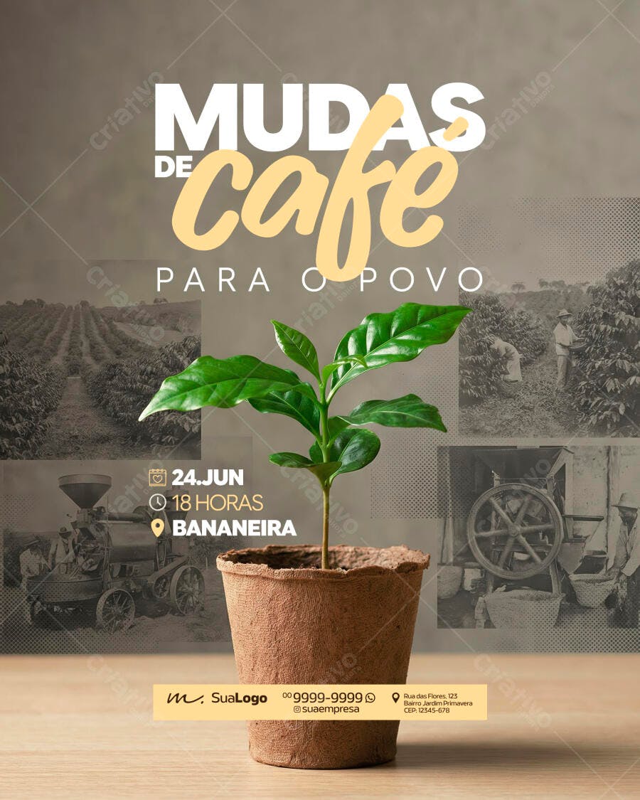 Post Instagram Mudas de Café Distribuição PSD Editável