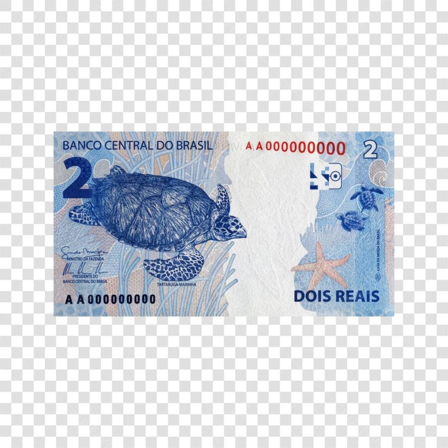 Foto Recortada Nota Dois Reais Tartaruga Marinha PNG Fundo Transparente