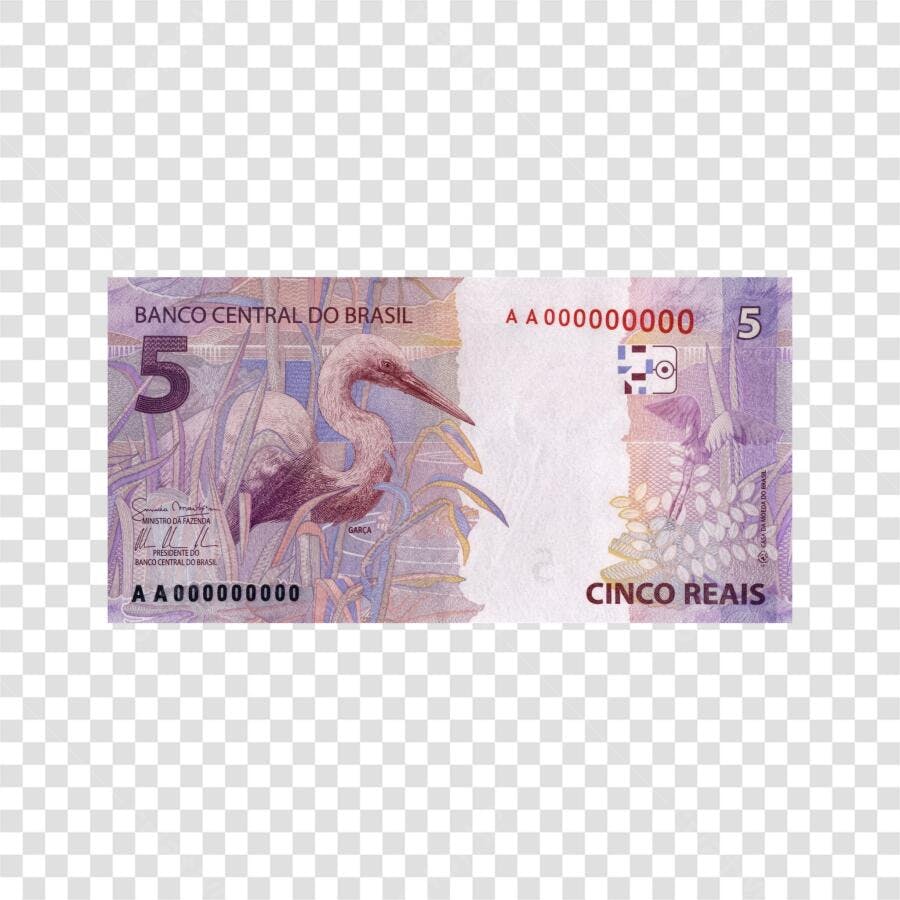 Foto Recortada Nota de 5 Reais Dinheiro Brasil PNG Fundo Transparente