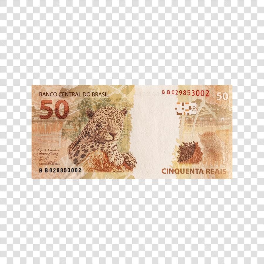 Foto Recortada Nota 50 Reais Onça Pintada PNG Fundo Transparente