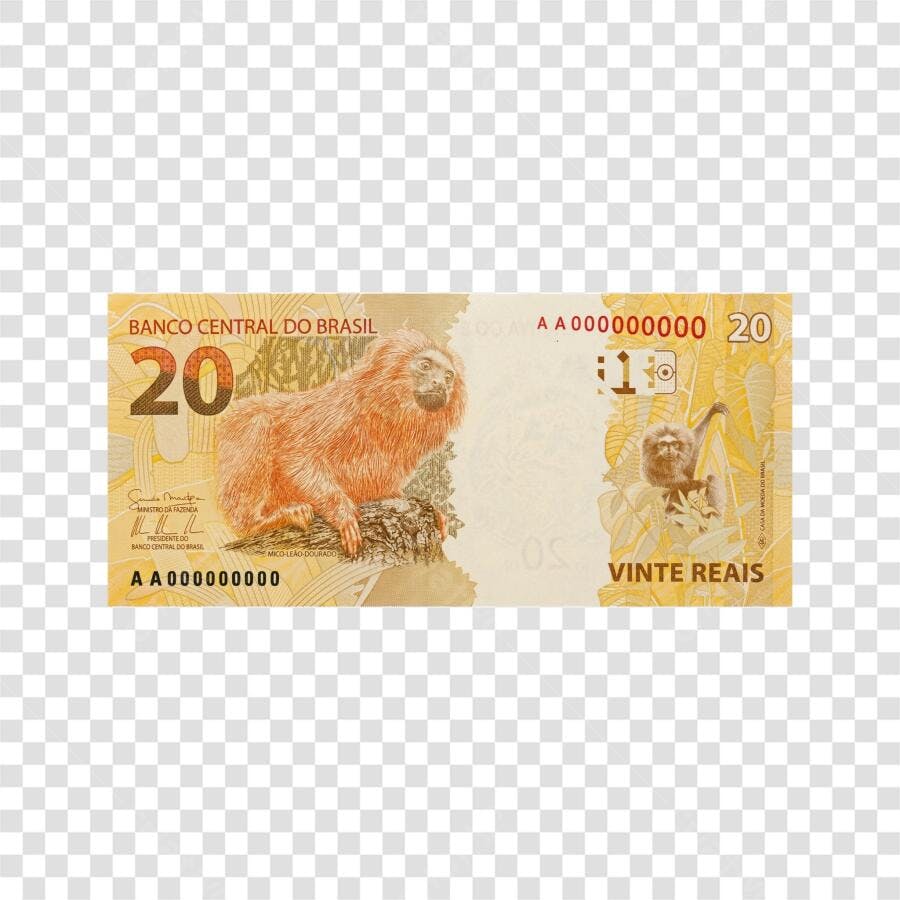 Foto Recortada Nota Vinte Reais Mico-Leão-Dourado PNG Fundo Transparente