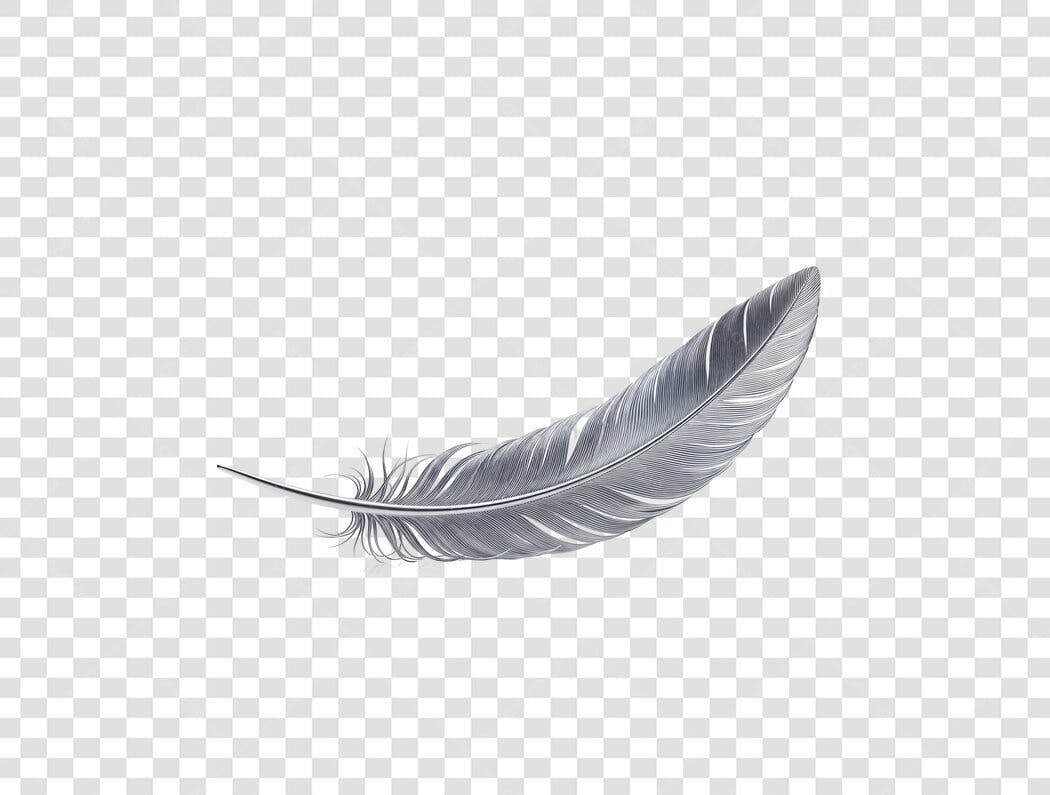 Elemento Decorativo Pena Cinza Realista PNG Fundo Transparente