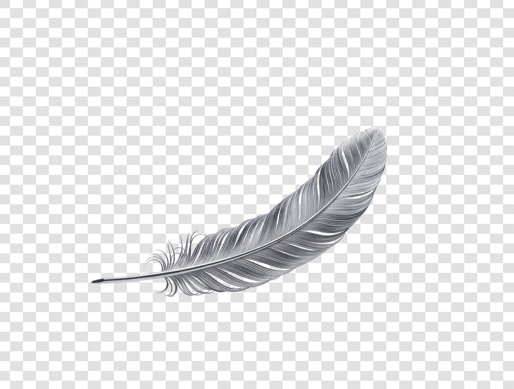 Elemento Decorativo Pena Cinza Realista PNG Fundo Transparente