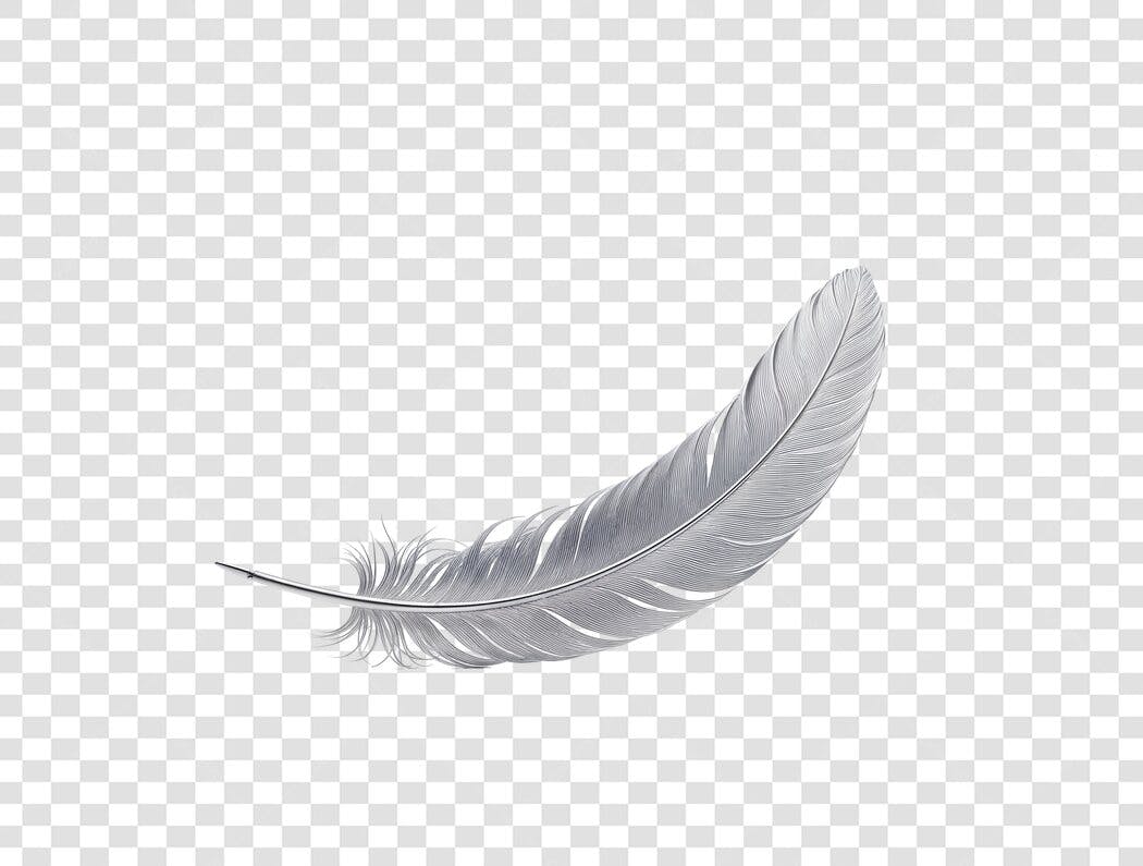 Foto Recortada Pena Branca Leve PNG Fundo Transparente