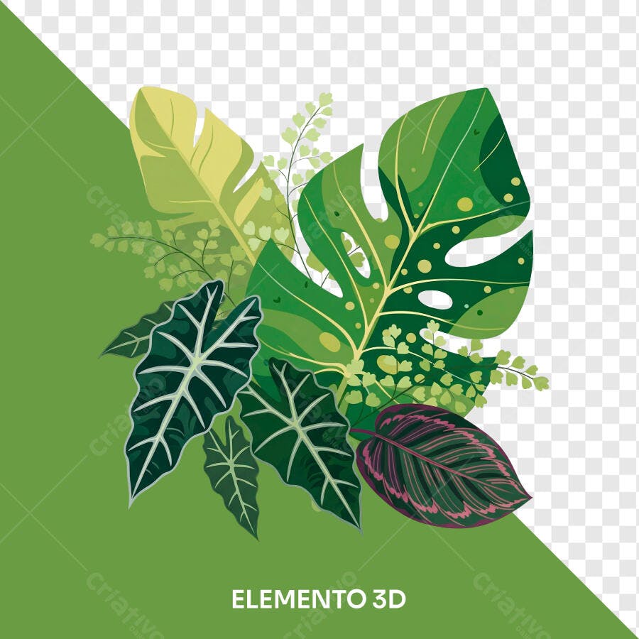 Ilustração Folhas Tropicais Verdes PNG Fundo Transparente