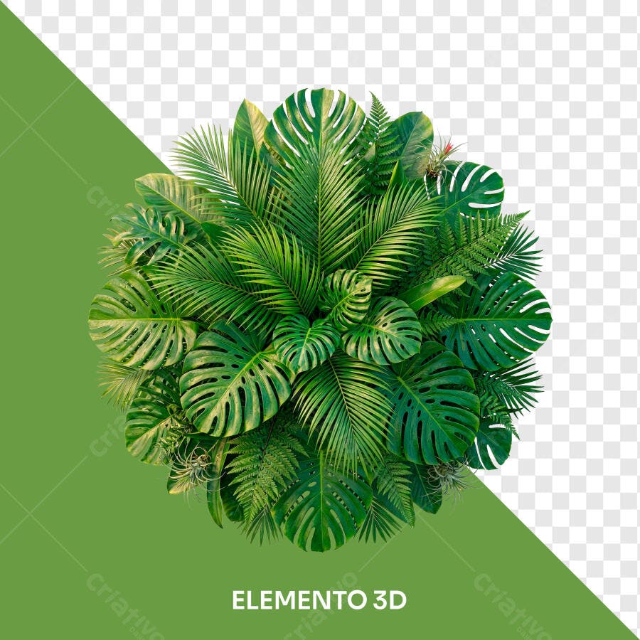 Elemento 3D Folhagem Tropical Verde PNG Fundo Transparente