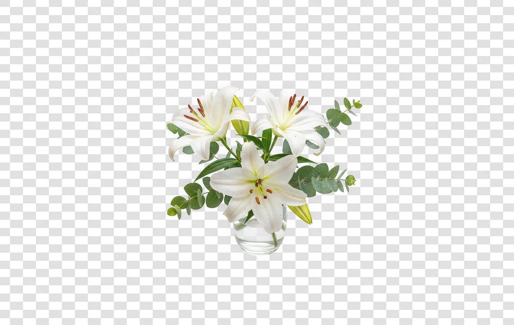 Foto Recortada Buquê Lírios Brancos PNG Fundo Transparente