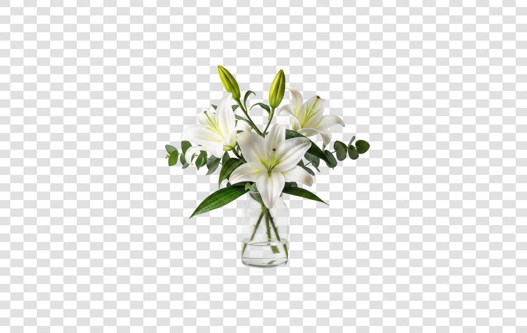 Foto Recortada Buquê Lírios Brancos Vaso PNG Fundo Transparente