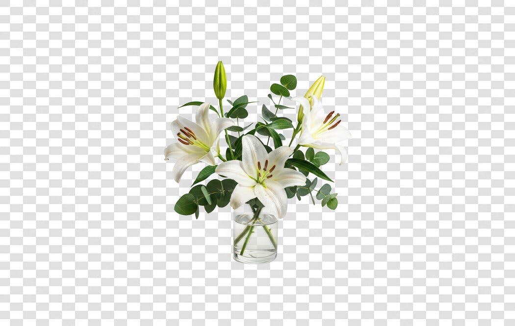 Foto Recortada Buquê Lírios Brancos Vaso PNG Fundo Transparente