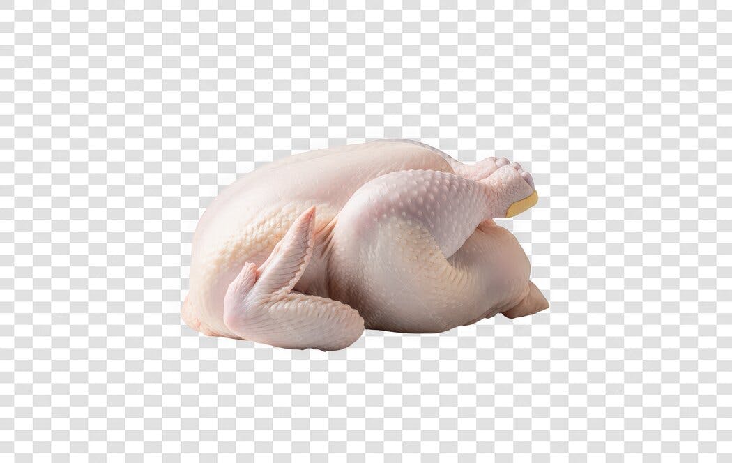 Foto Recortada Frango Inteiro Cru Abatido PNG Fundo Transparente