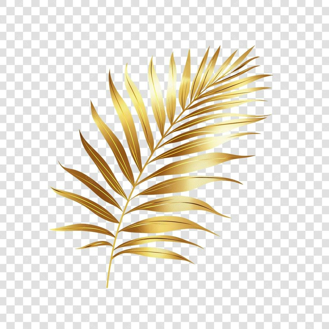 Elemento Decorativo Folha Dourada Tropical PNG Fundo Transparente
