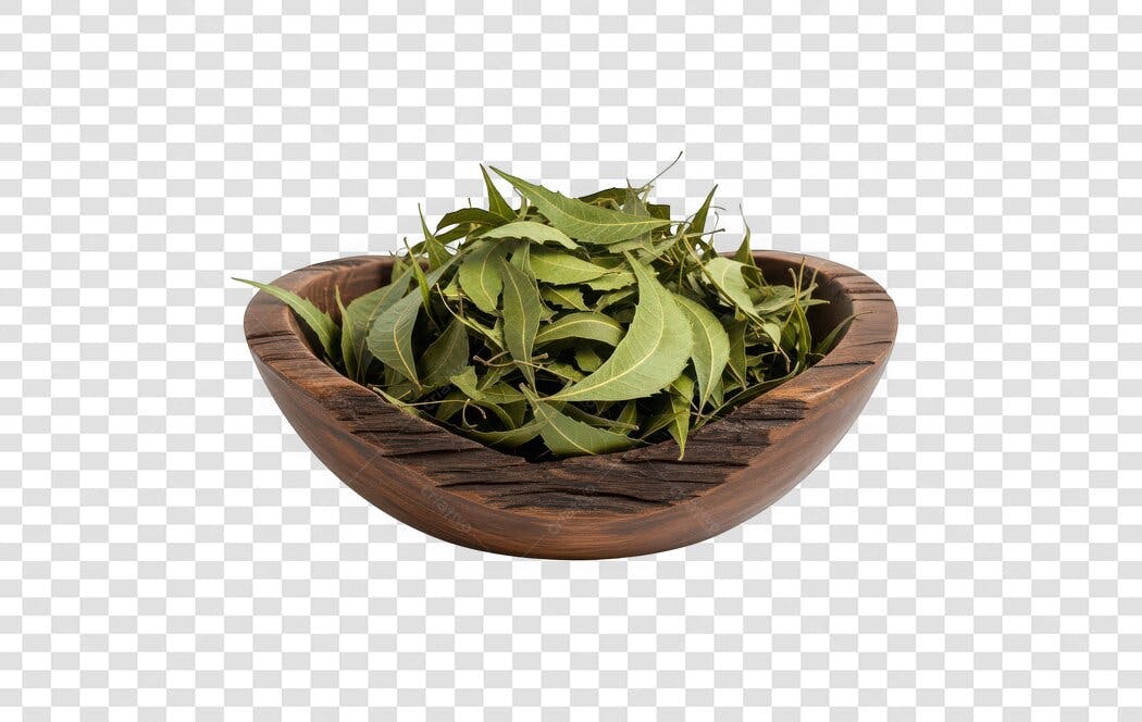 Foto Recortada Folhas de Neem em Tigela de Madeira PNG Fundo Transparente