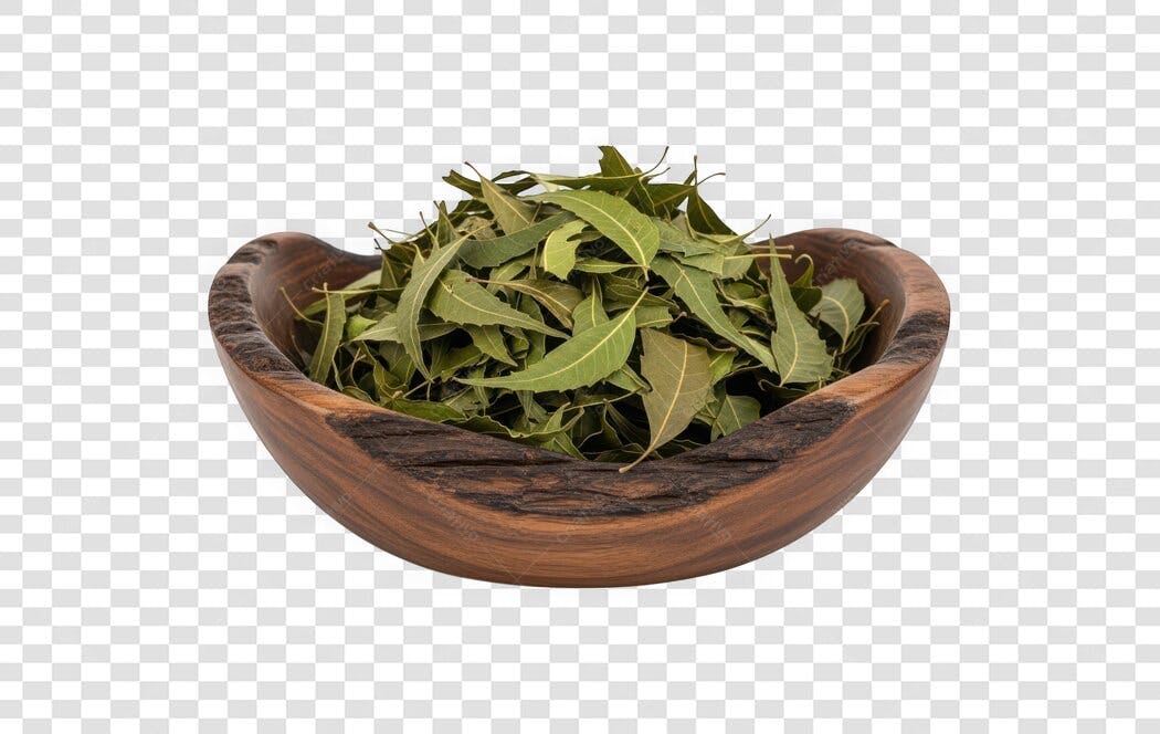Foto Recortada Folhas Secas Neem Tigela Madeira PNG Fundo Transparente