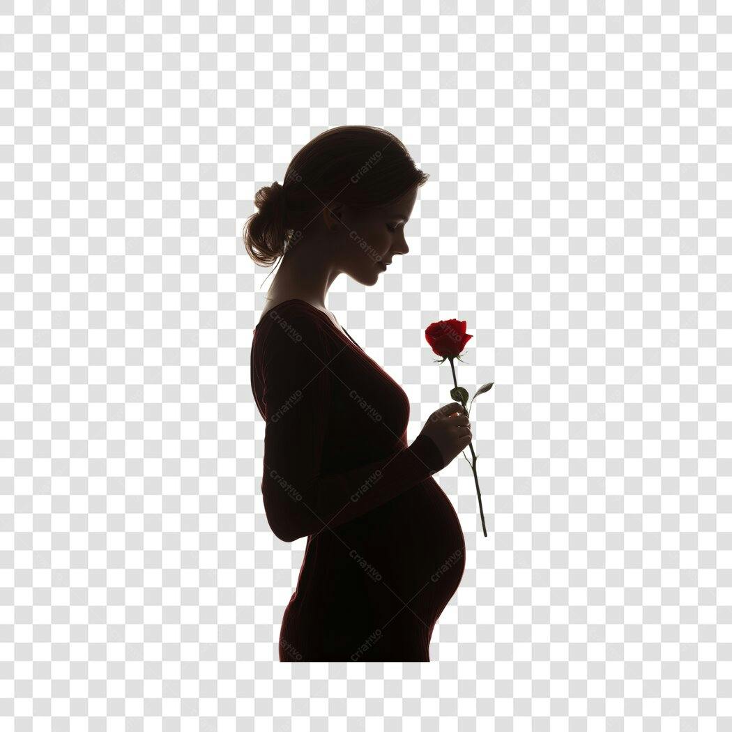 Foto Recortada Silhueta Mulher Grávida Rosa PNG Fundo Transparente