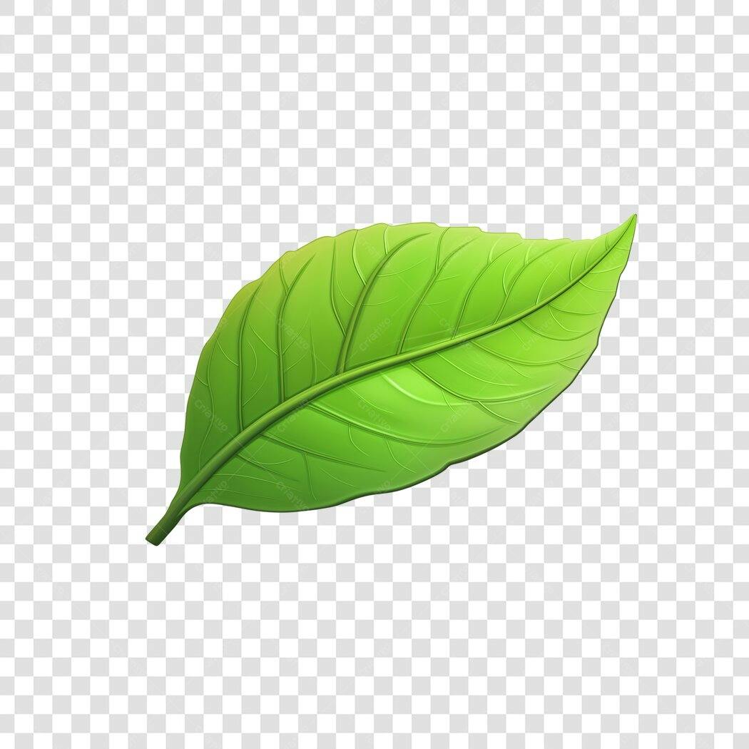 Ilustração Folha Verde Realista PNG Fundo Transparente