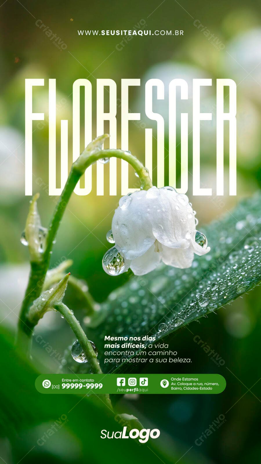 Story Instagram Flor Branca Natureza PSD Editável