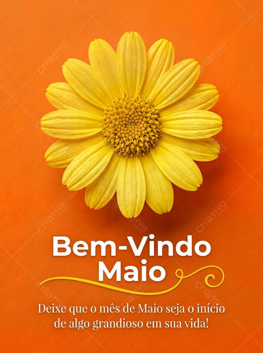 Foto Flor Margarida Amarela Fundo Laranja Bem-Vindo Maio