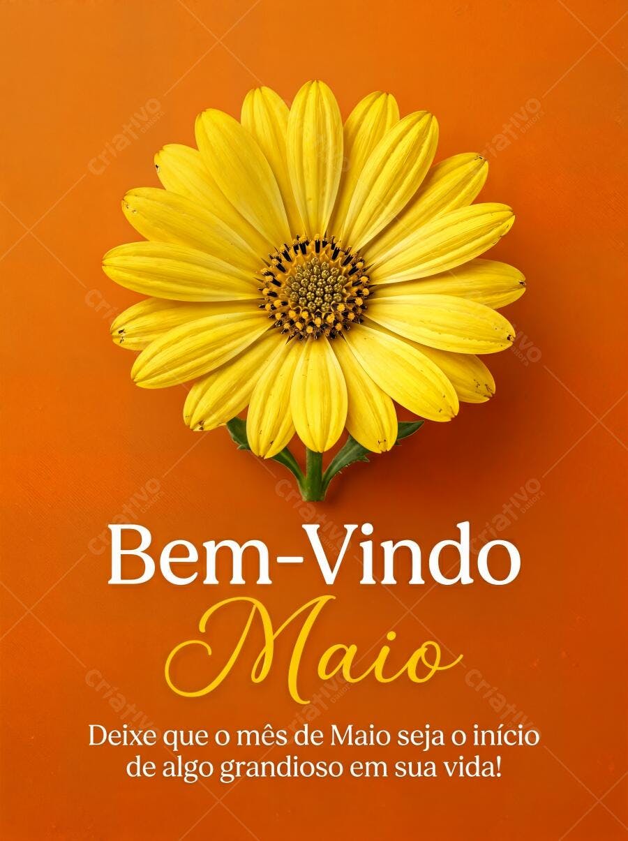 Foto Flor Margarida Amarela Fundo Laranja Bem-Vindo Maio