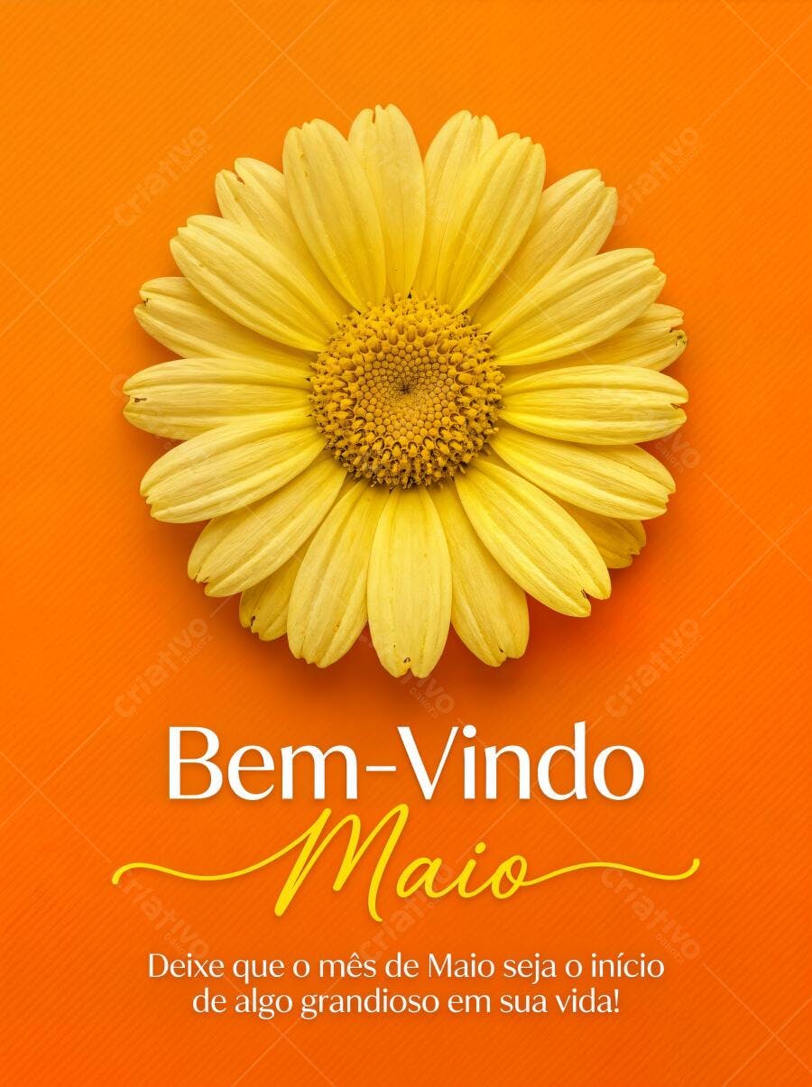 Foto Flor Margarida Amarela Fundo Laranja Bem-Vindo Maio