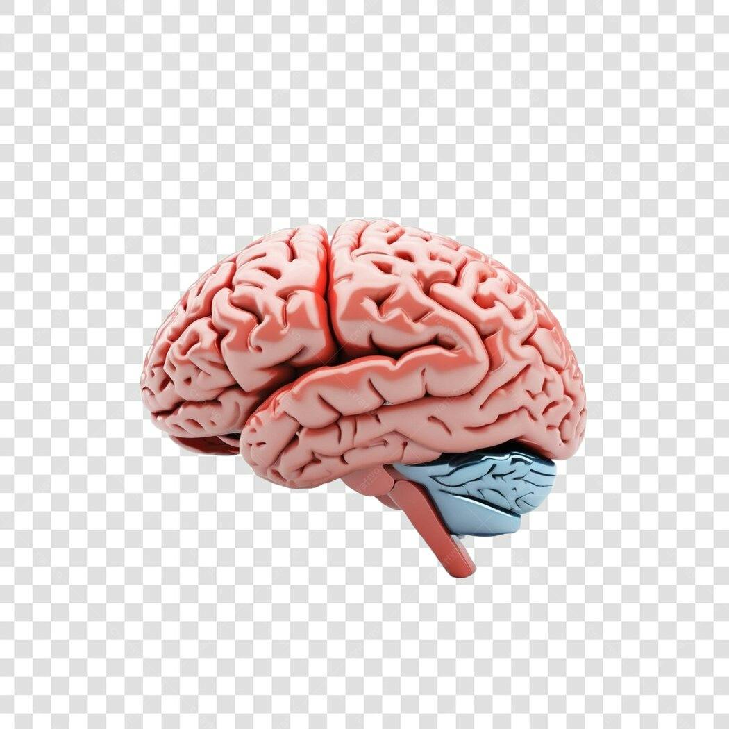 Elemento 3D Cérebro Humano Anatomia PNG Fundo Transparente