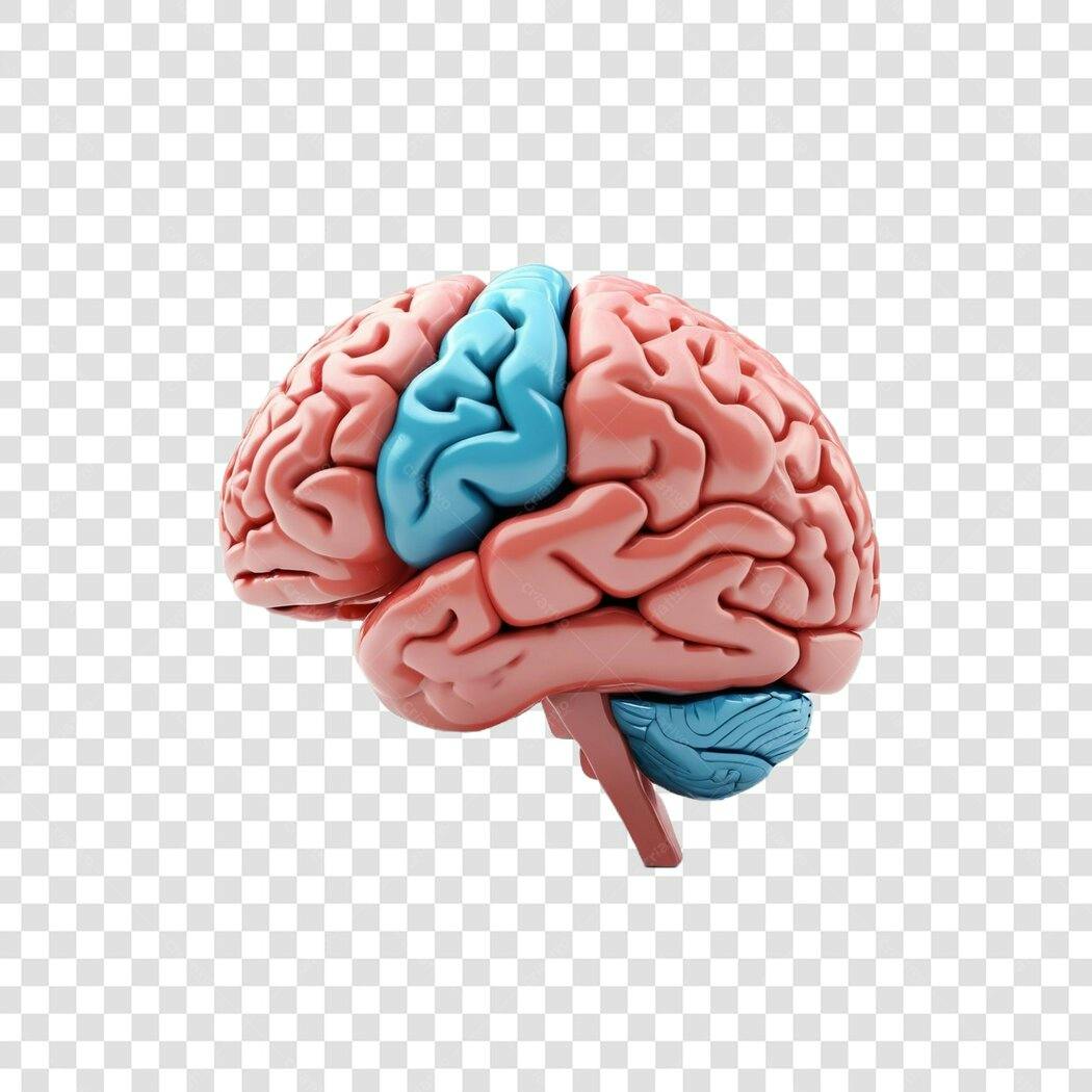 Elemento 3D Cérebro Humano Anatomia PNG Fundo Transparente