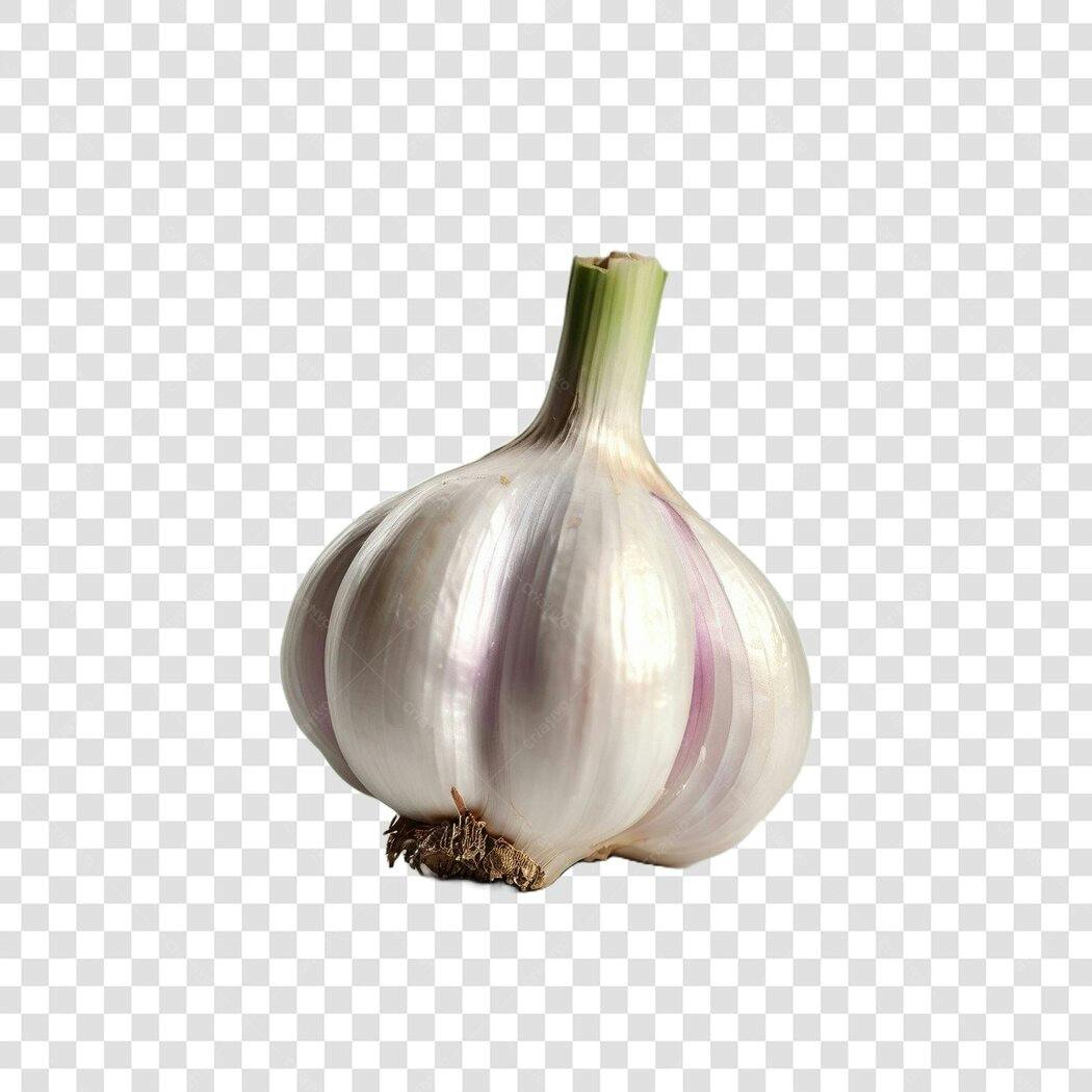 Foto Recortada Alho Fresco Culinária PNG Fundo Transparente