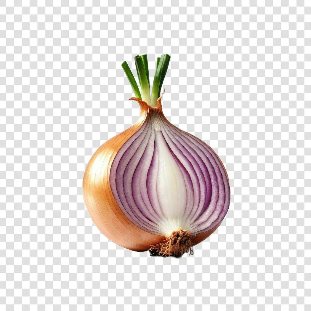Foto Recortada Cebola Roxa Cortada Meio PNG Fundo Transparente