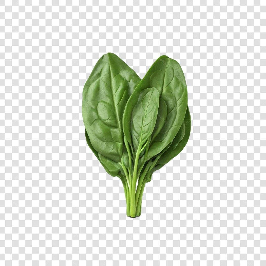 Foto Recortada Espinafre Fresco Verde PNG Fundo Transparente