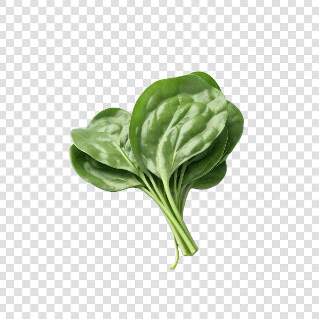 Foto Recortada Maço de Espinafre Verde PNG Fundo Transparente
