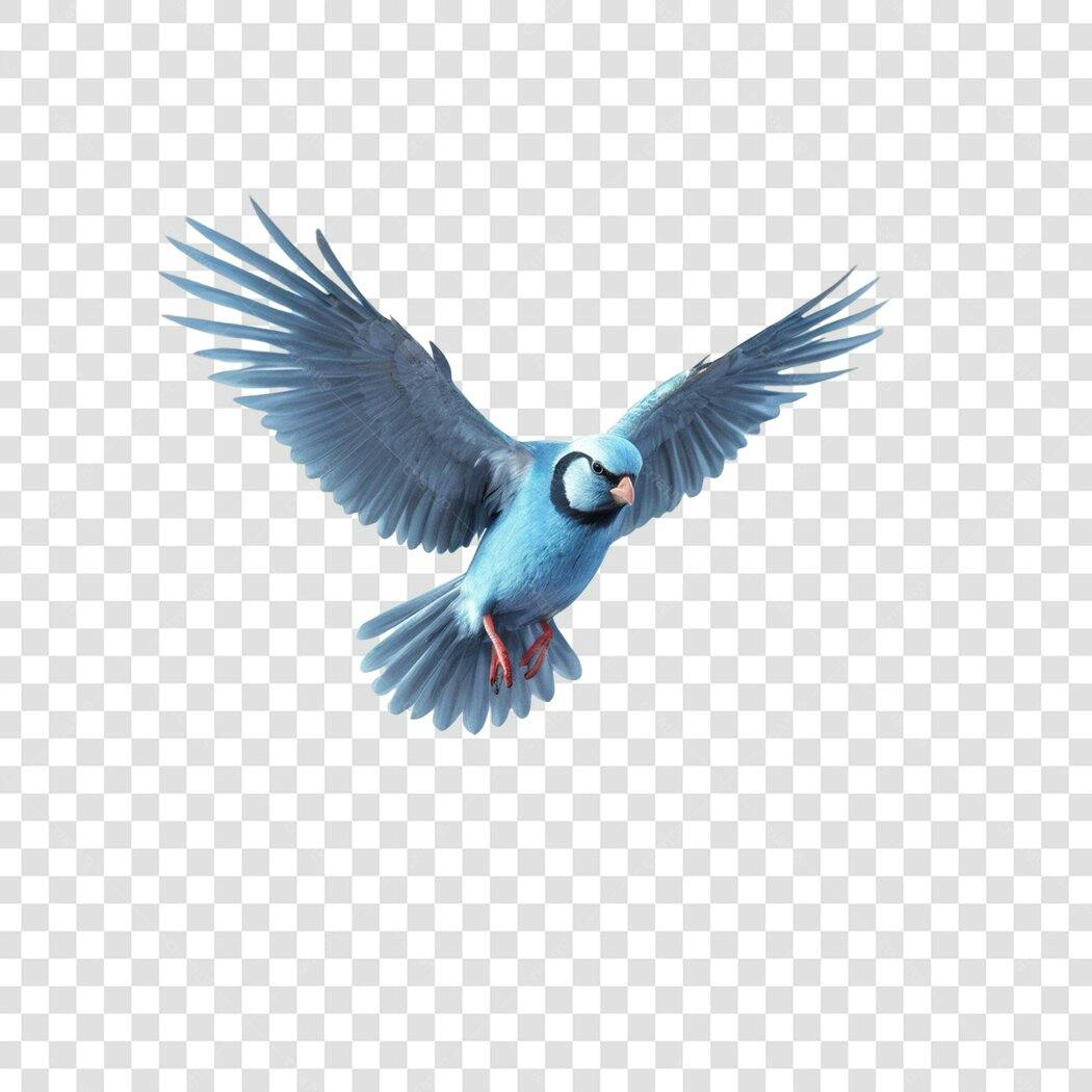 Foto Recortada Pássaro Azul Voando PNG Fundo Transparente