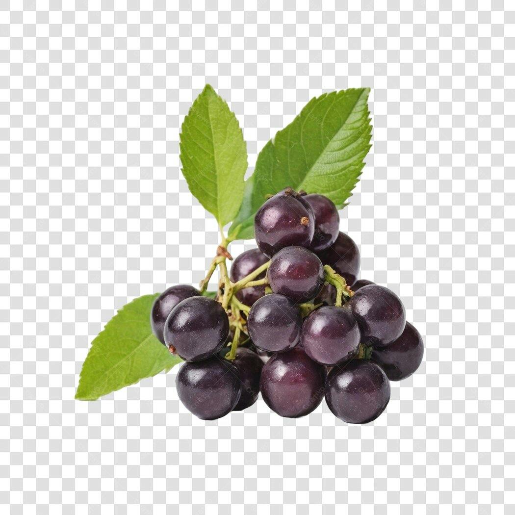 Foto Recortada Uva Roxa Fresca com Folhas PNG Fundo Transparente