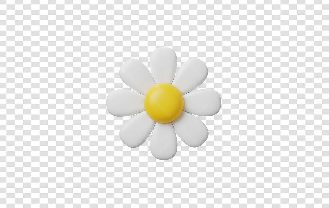 Elemento 3D Margarida Branca Amarela PNG Fundo Transparente